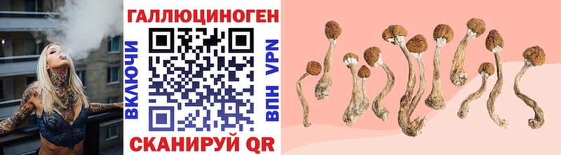 купить наркотик  Артёмовский  Галлюциногенные грибы Magic Shrooms 